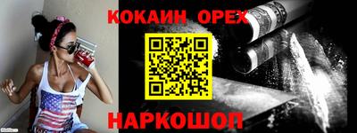 индика Гатчина