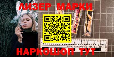 индика Гатчина