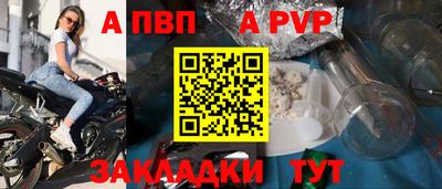 индика Гатчина