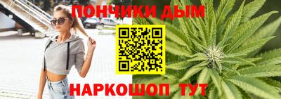 индика Гатчина