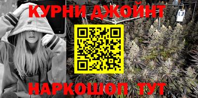 индика Гатчина
