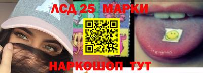 индика Гатчина