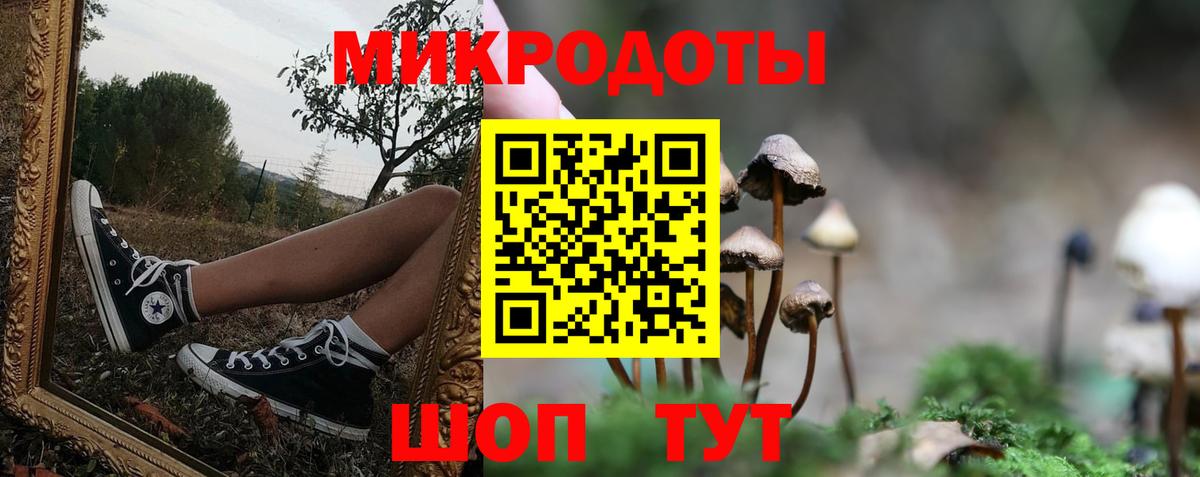 Галлюциногенные грибы Psilocybine cubensis Надым